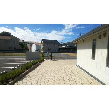 スタッフとお散歩